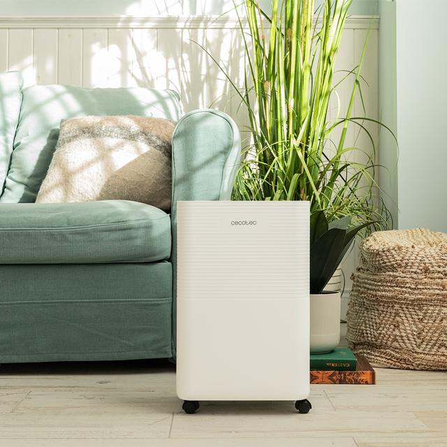 Cecotec - Deshumidificador BigDry 8000 Expert Connected