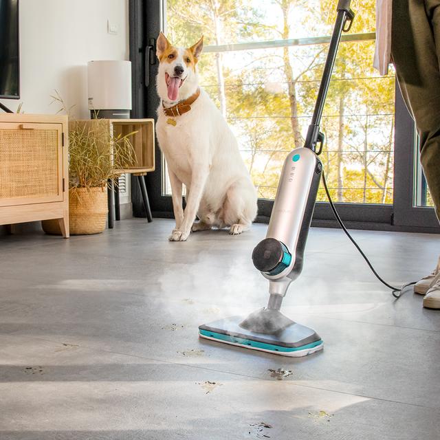 Cecotec - Vaporeta Vertical HydroSteam 3030 Active