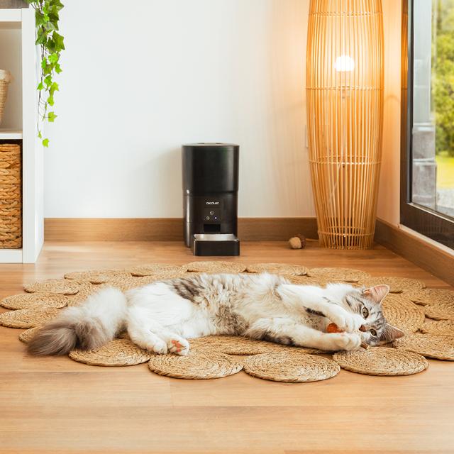 Cecotec - Comedero Pumba 6000 Purrfect Meal Smart