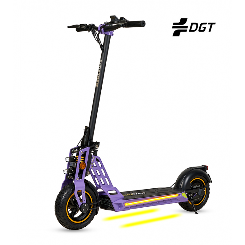 Patinete Eléctrico Bison - Homologado DGT